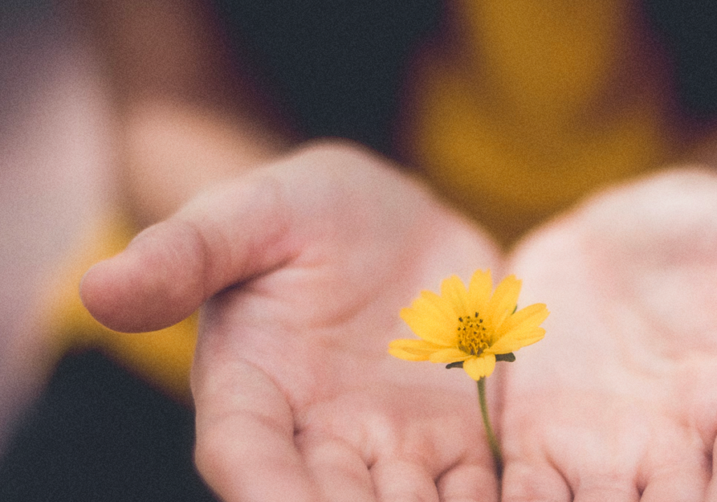 Day 4 Belief in Actions Story